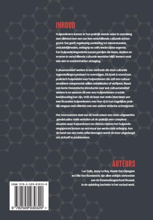 Werkboek cultuursensitieve hulpverlening