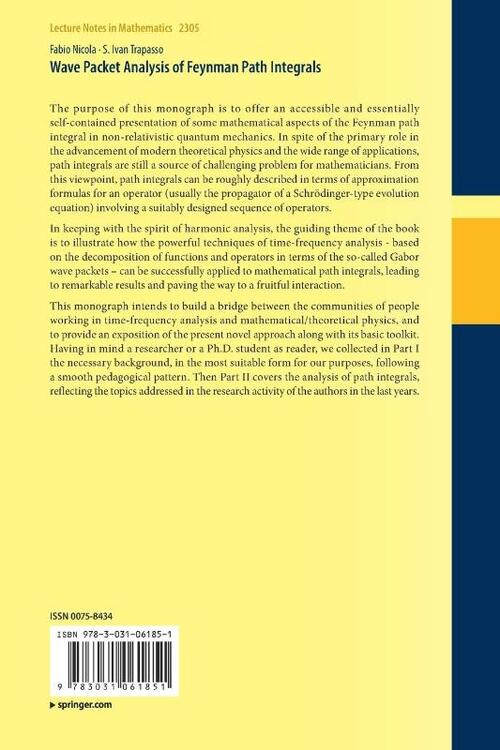 Wave Packet Analysis of Feynman Path Integrals