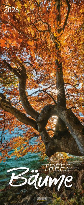 Bäume 2026
