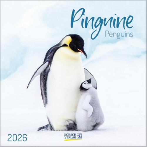 Pinguine 2026