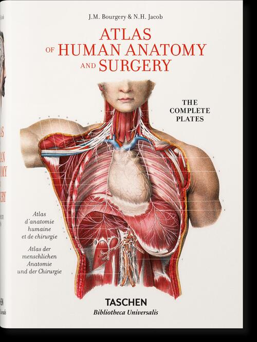 Bourgery. Atlas of Human Anatomy and Surgery