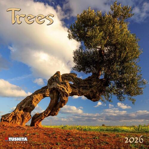 Trees 2026