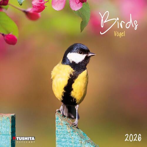 Birds 2026