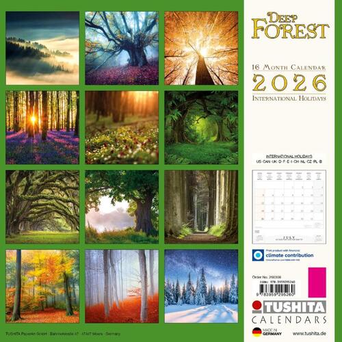Deep Forest 2026