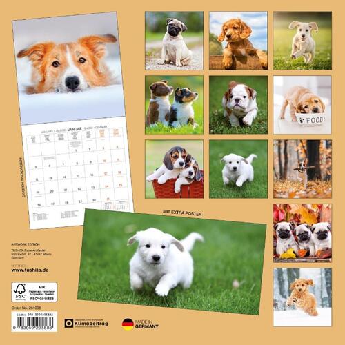 Hundewelpen/Puppy Dogs 2026