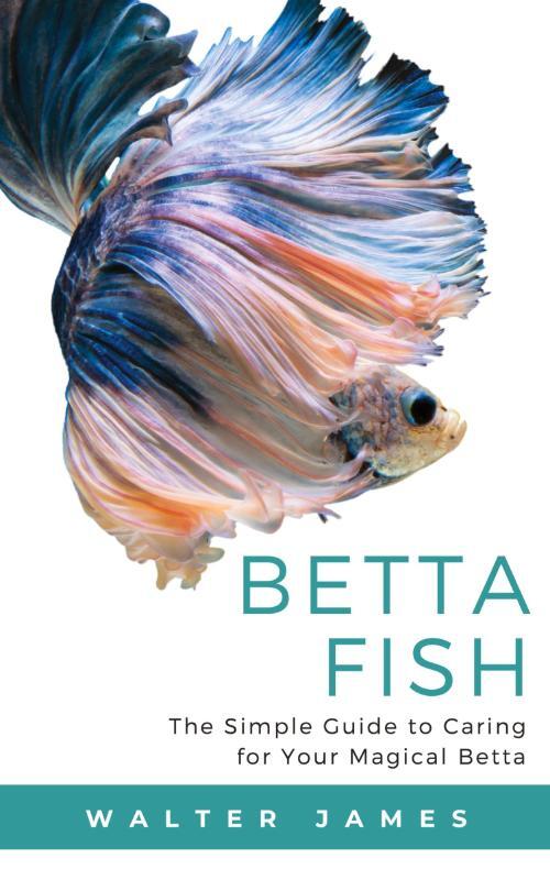 Betta Fish