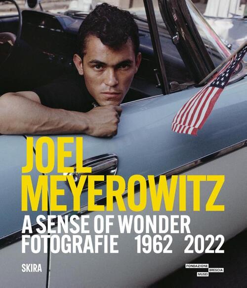 Joel Meyerowitz: A Sense of Wonder (Bilingual edition)