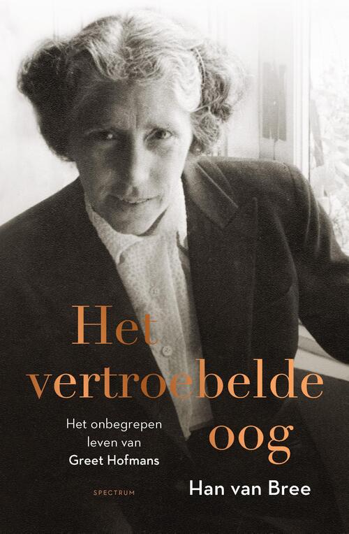 Het vertroebelde oog