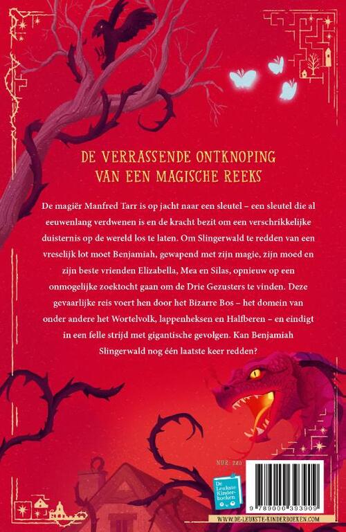 De verdwenen sleutel