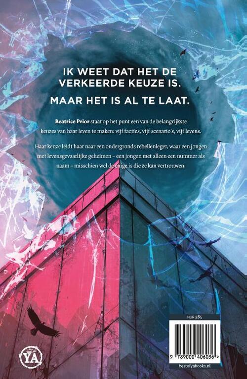 Divergent 4 - De zesde factie