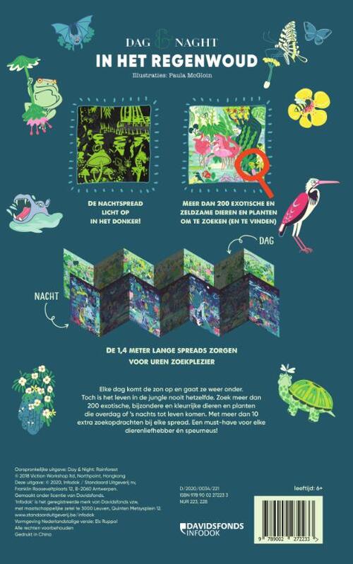 Dag & nacht: in het regenwoud