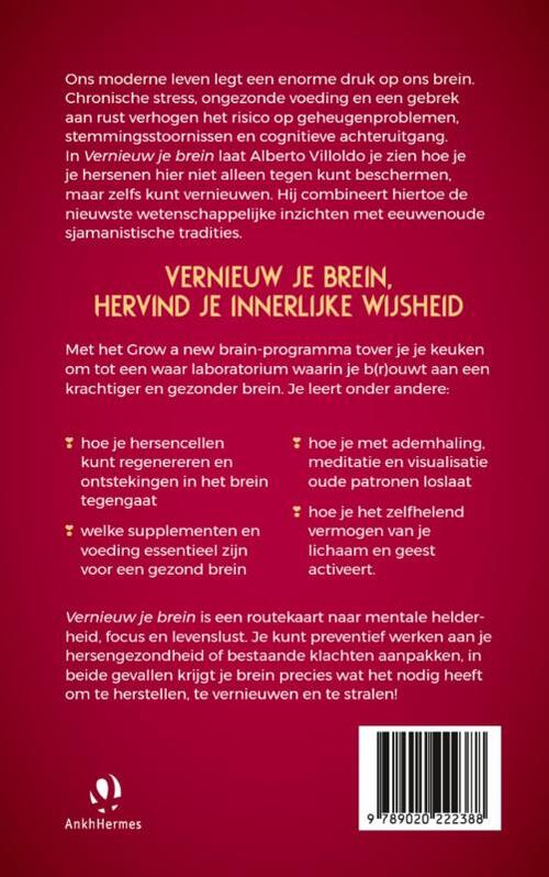 Vernieuw je brein
