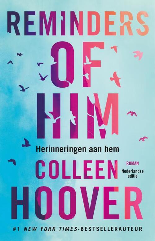 Tonen Ingrijpen Aardrijkskunde Reminders of him, Colleen Hoover | Boek | 9789020548648 | Bruna