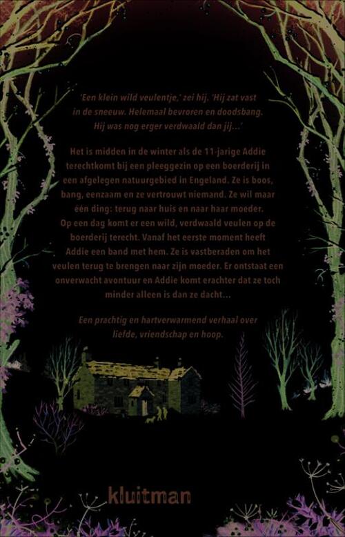 Het meisje en het veulen