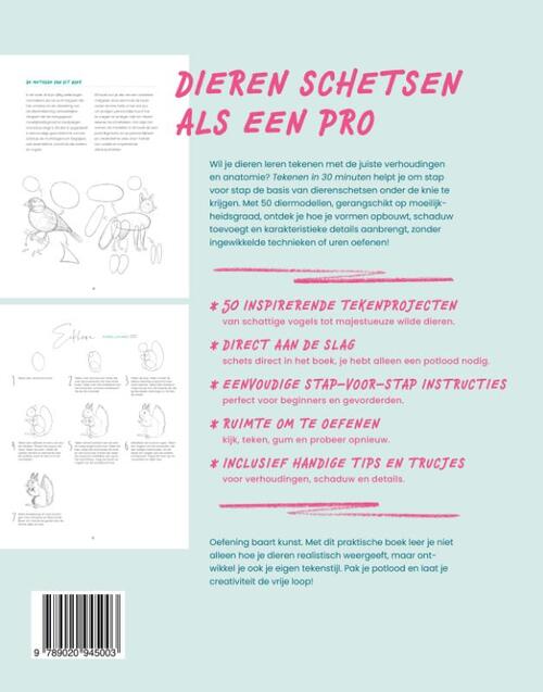 Tekenen in 30 minuten