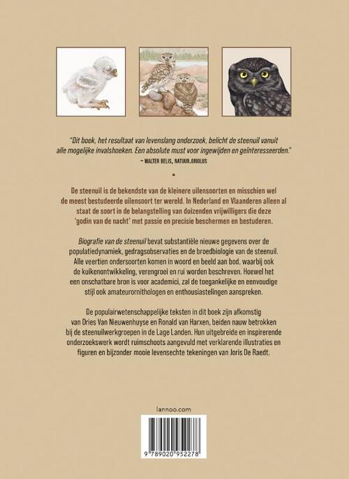 Biografie van de steenuil