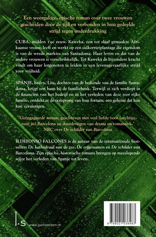 De vrouwen van de suikerrietplantage