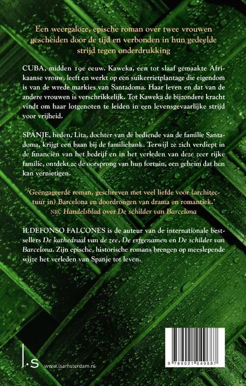 De vrouwen van de suikerrietplantage