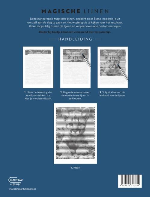 Magische lijnen Katten en katachtigen