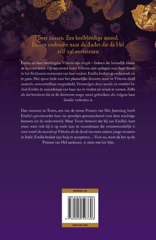 Koninkrijk der Zonden 1 - De prins van toorn (Limited Edition)