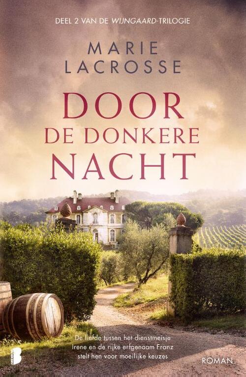 Wijngaard 2 - Door de donkere nacht