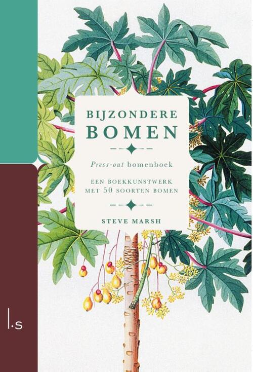Bijzondere Bomen - Press-out boek