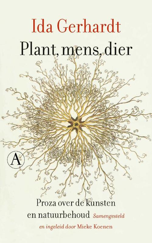 Plant, mens, dier