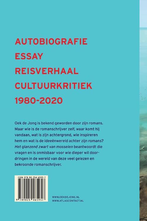 Het glanzend zwart van mosselen