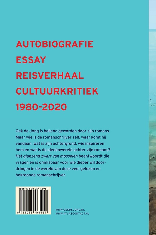 Het glanzend zwart van mosselen