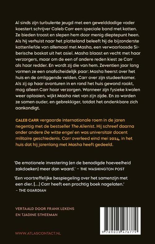 Mijn lieve kattenkop