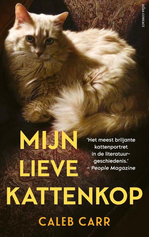 Mijn lieve kattenkop