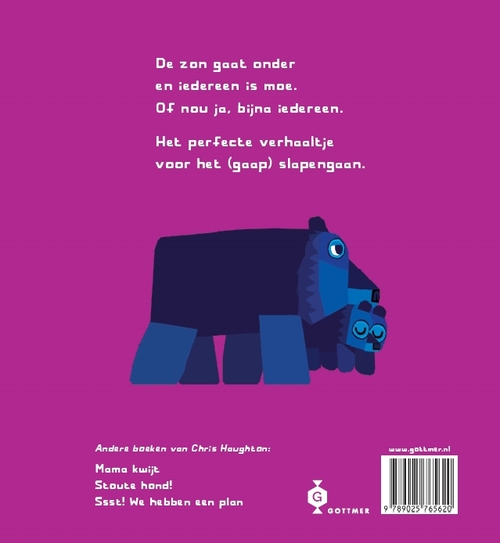 Welterusten allemaal (kartonboekje)