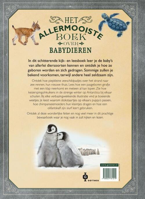 Het allermooiste boek over babydieren