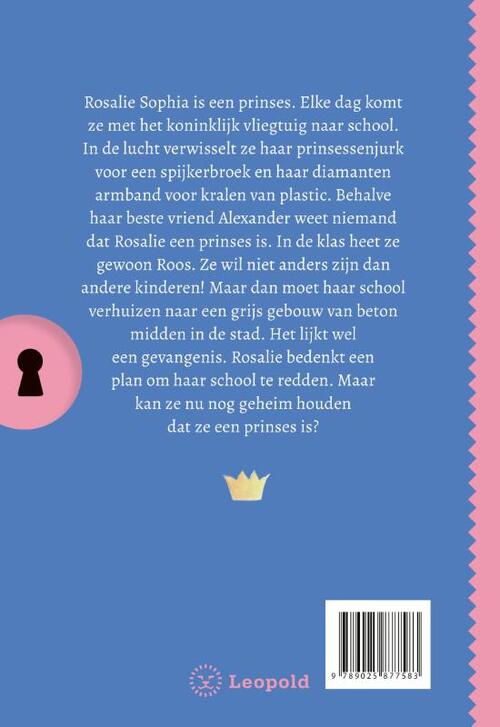 Het geheim van de stoere prinses