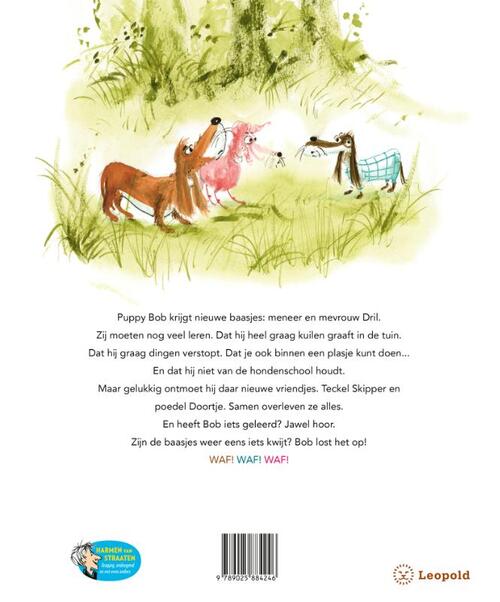 Puppy Bob lost het op
