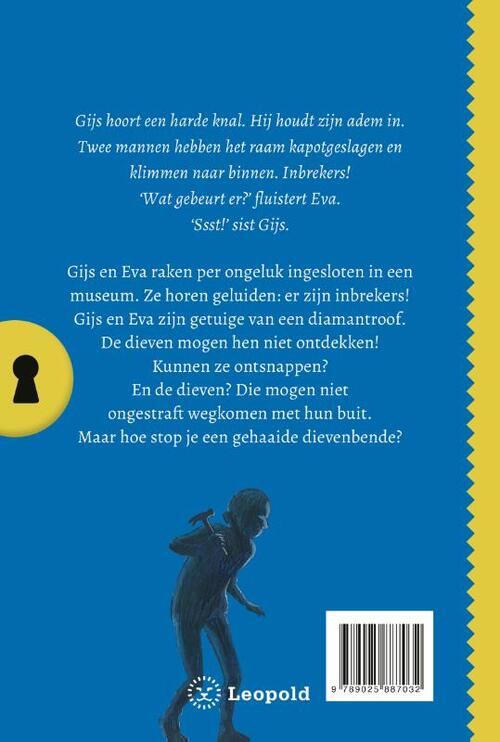 Het geheim van de duistere diamantroof