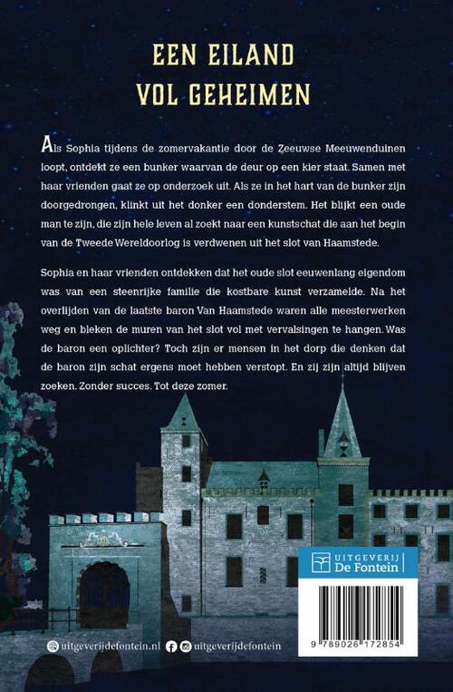 Het mysterie van Haamstede