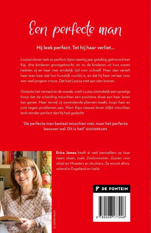 Een perfecte man