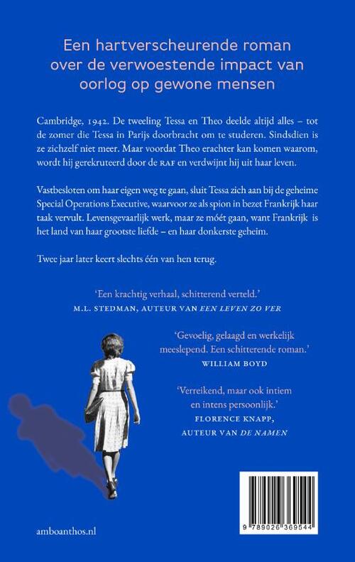 De schok van het licht