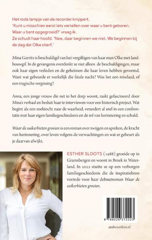 Waar de suikerbieten groeien