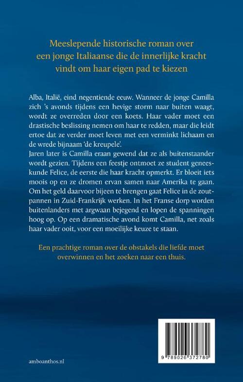 Sporen van zout