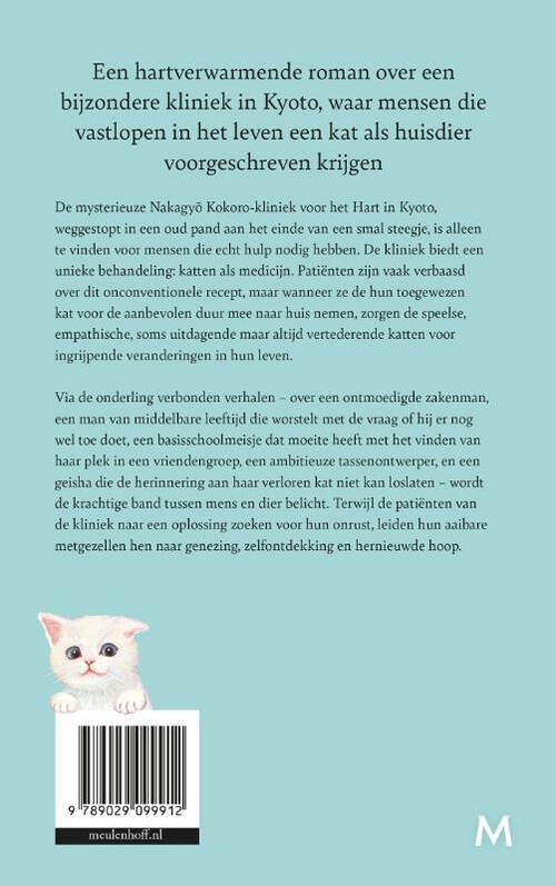Een kat op recept
