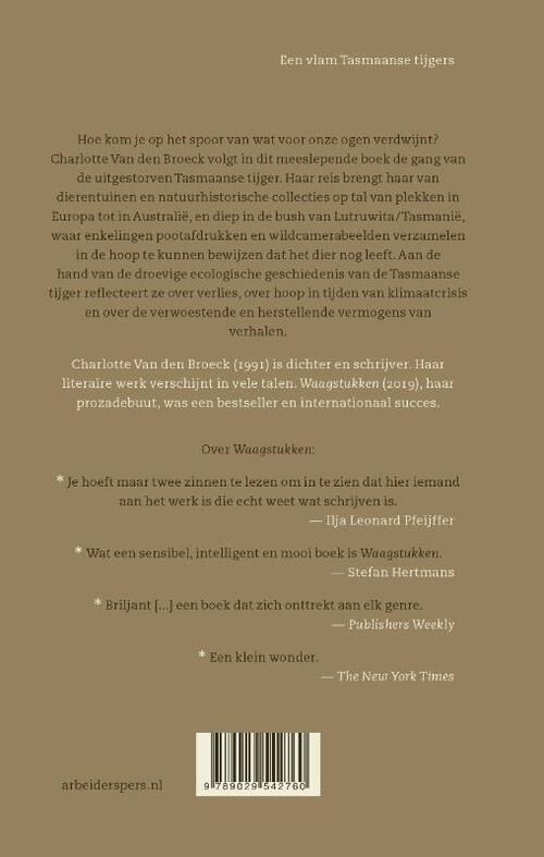 Een vlam Tasmaanse tijgers