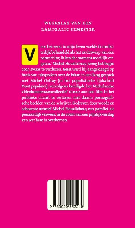 Een paar maanden van mijn leven