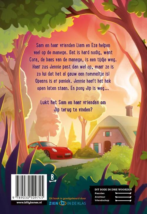 Sam en de ontsnapte pony