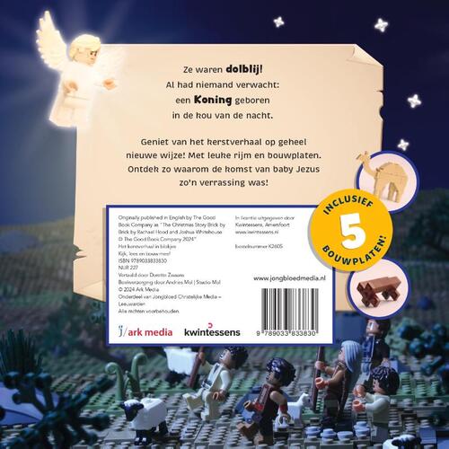 Het kerstverhaal in blokjes