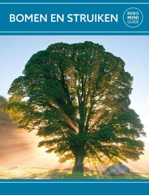 Bomen struiken Rebo mini guide, Hanneke van Dijk Boek | 9789036643986 | Bruna