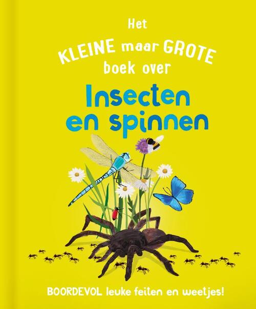 Het kleine maar grote boek over insecten en spinnen