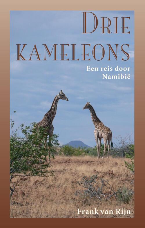 Drie kameleons