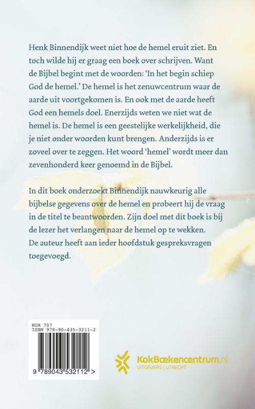 Hoe ziet de hemel eruit?